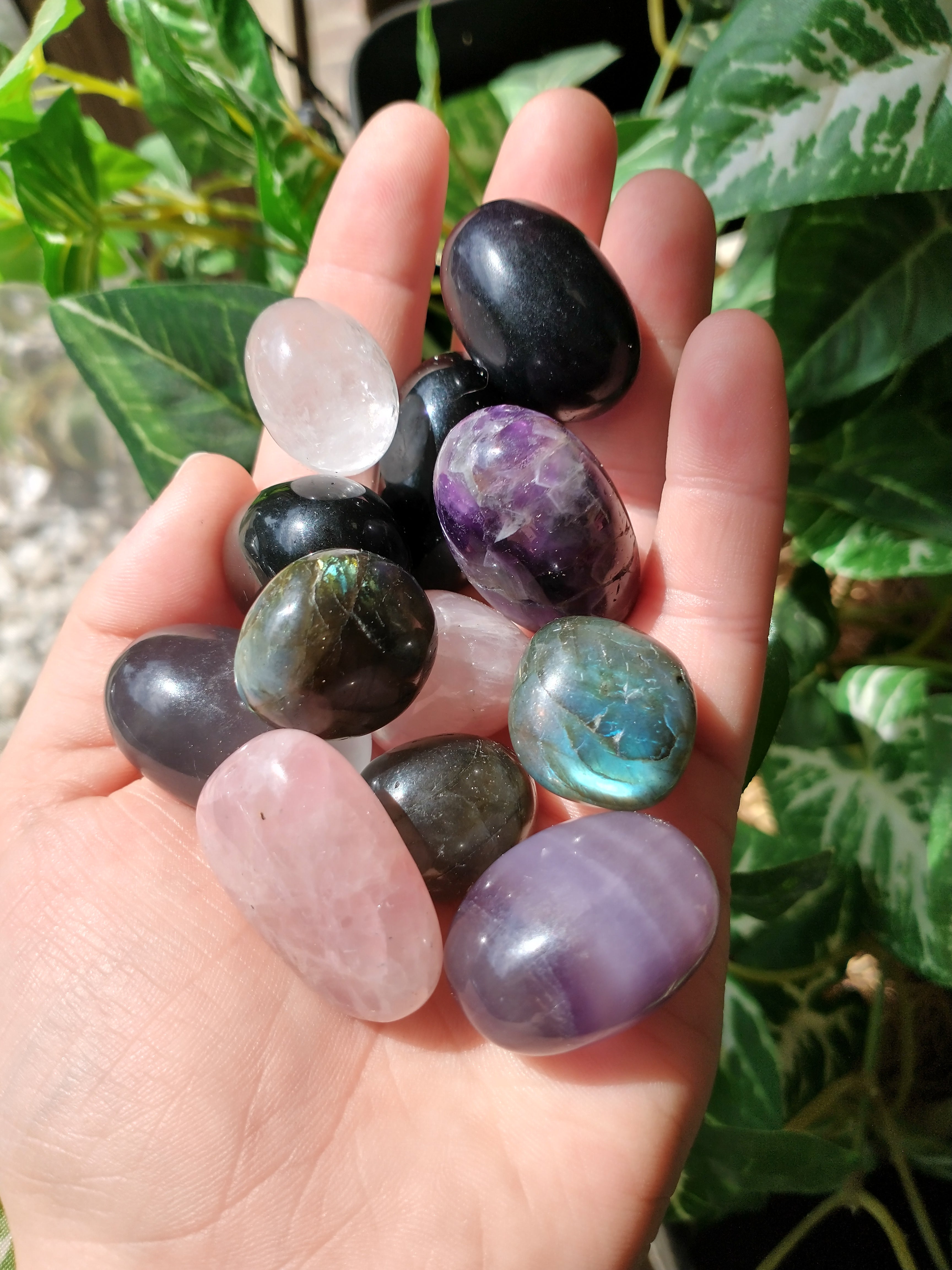 Suchen Crystal Moon Shop