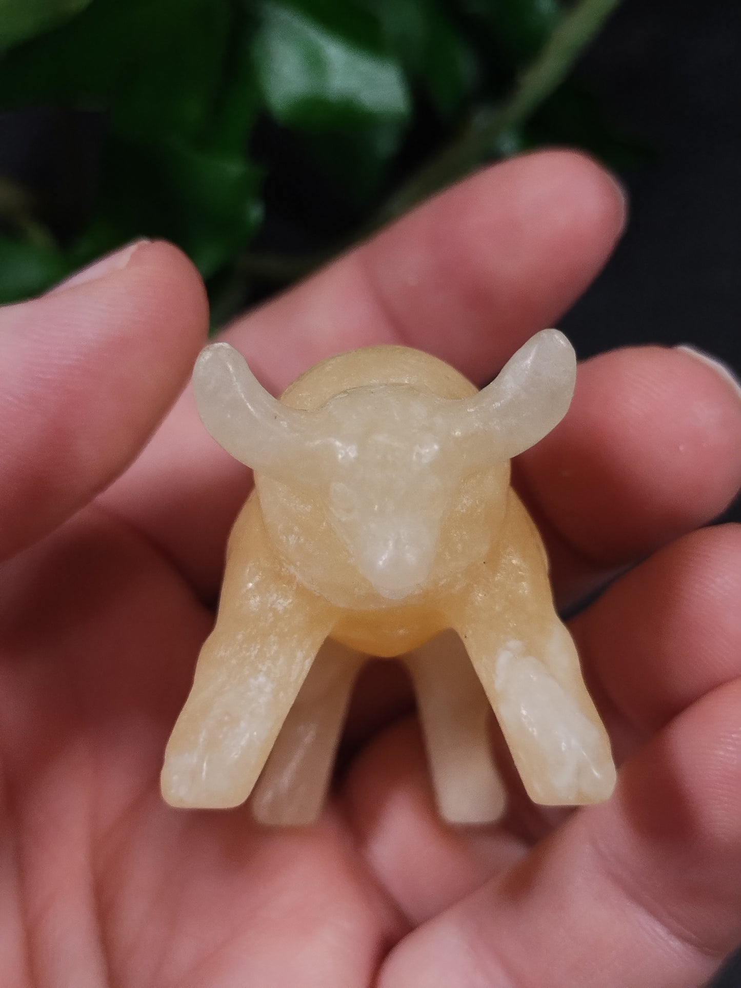 Yellow Calcite Tauros