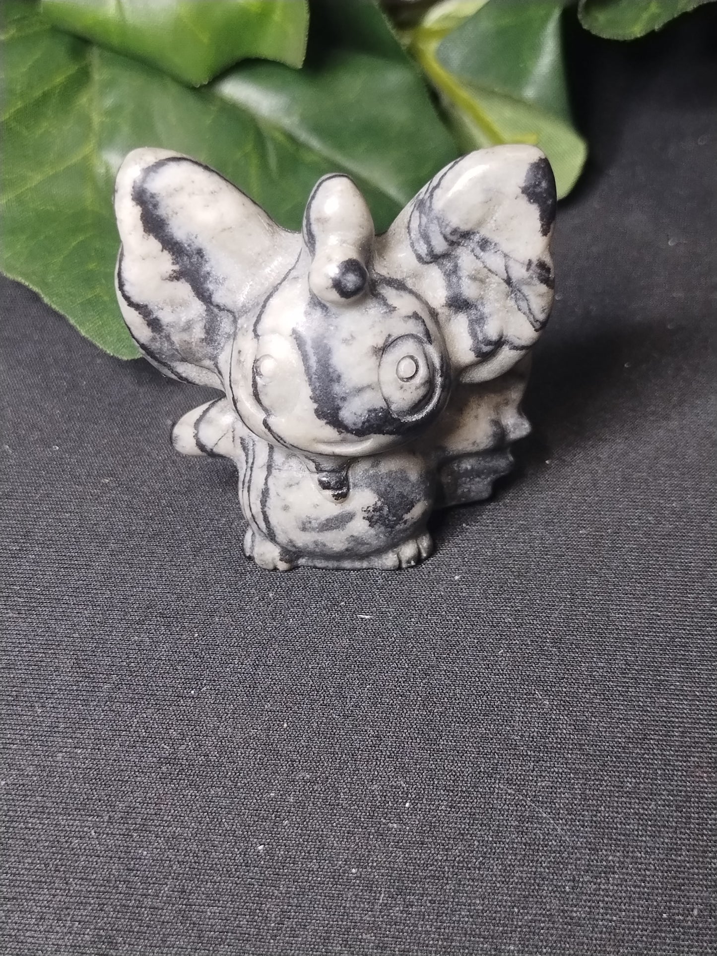 Taichi Jade Minccino