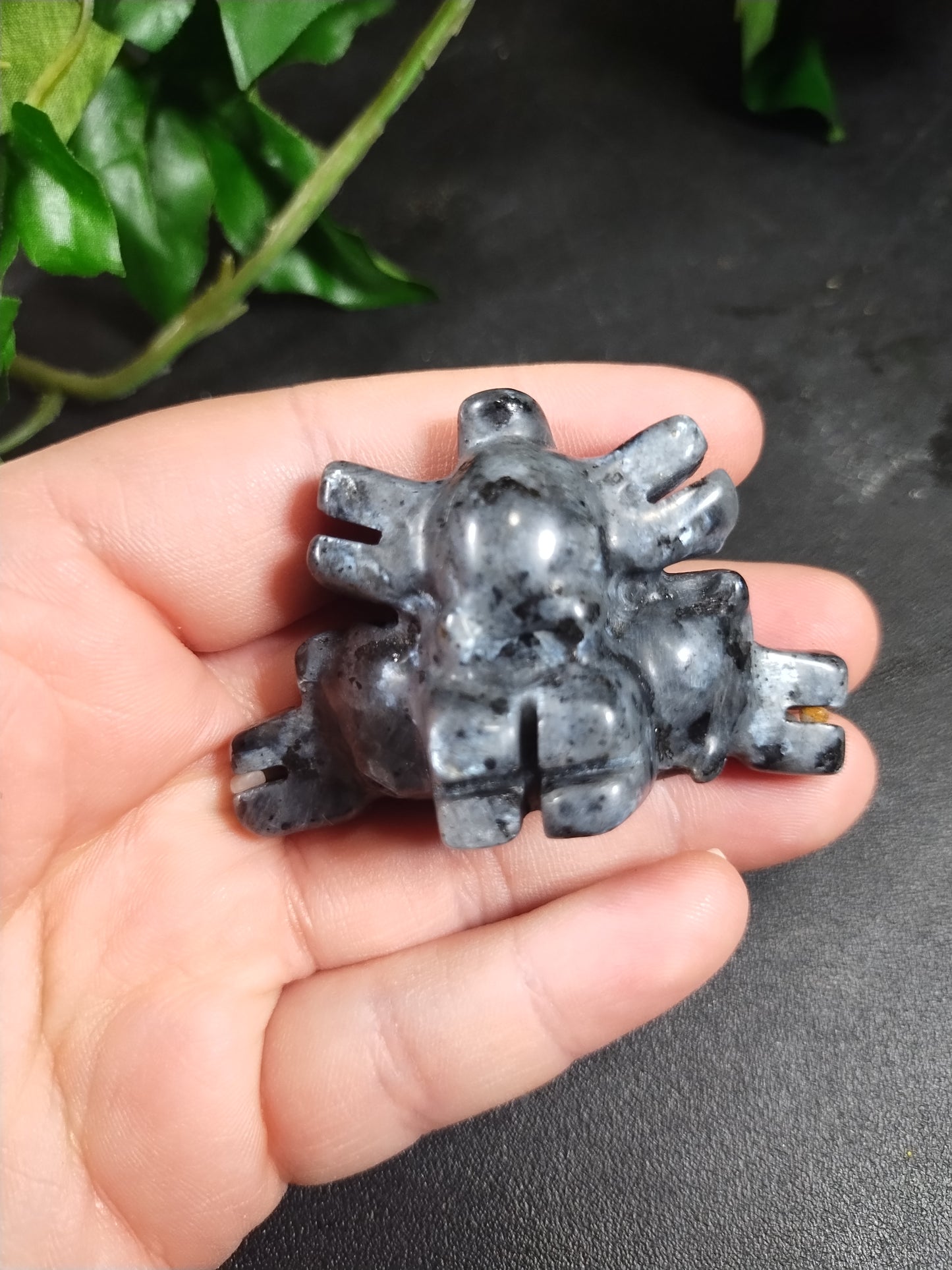 Larvikite Magneton