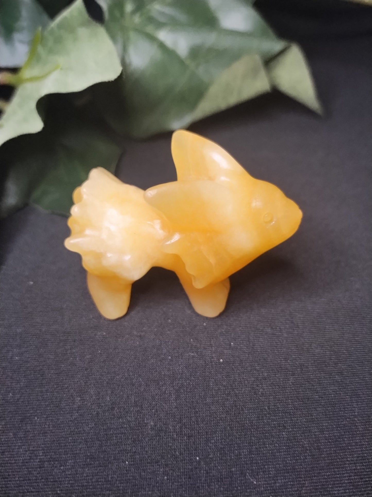 Eeveelution Set