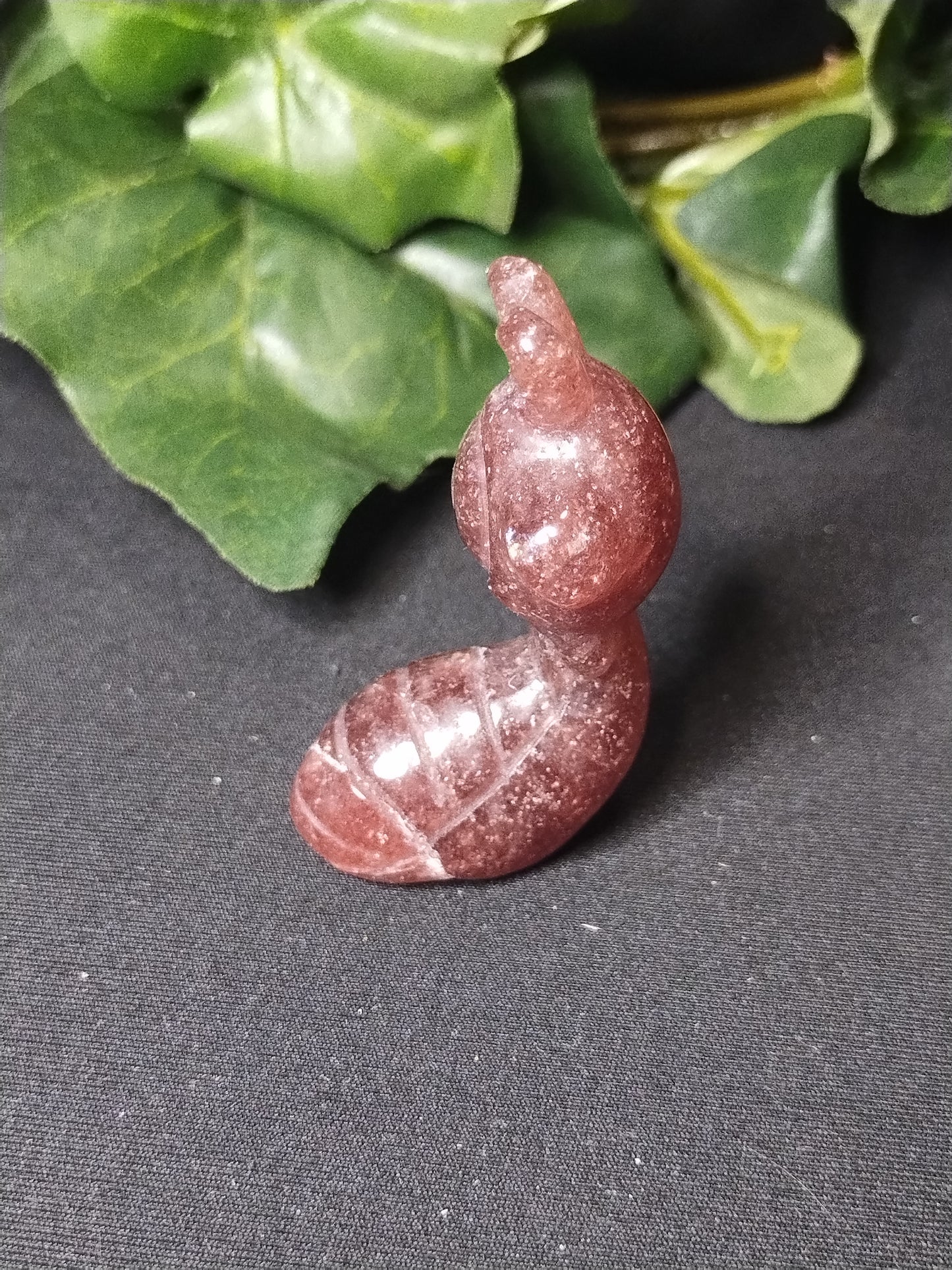 Strawberry Quartz Sentret