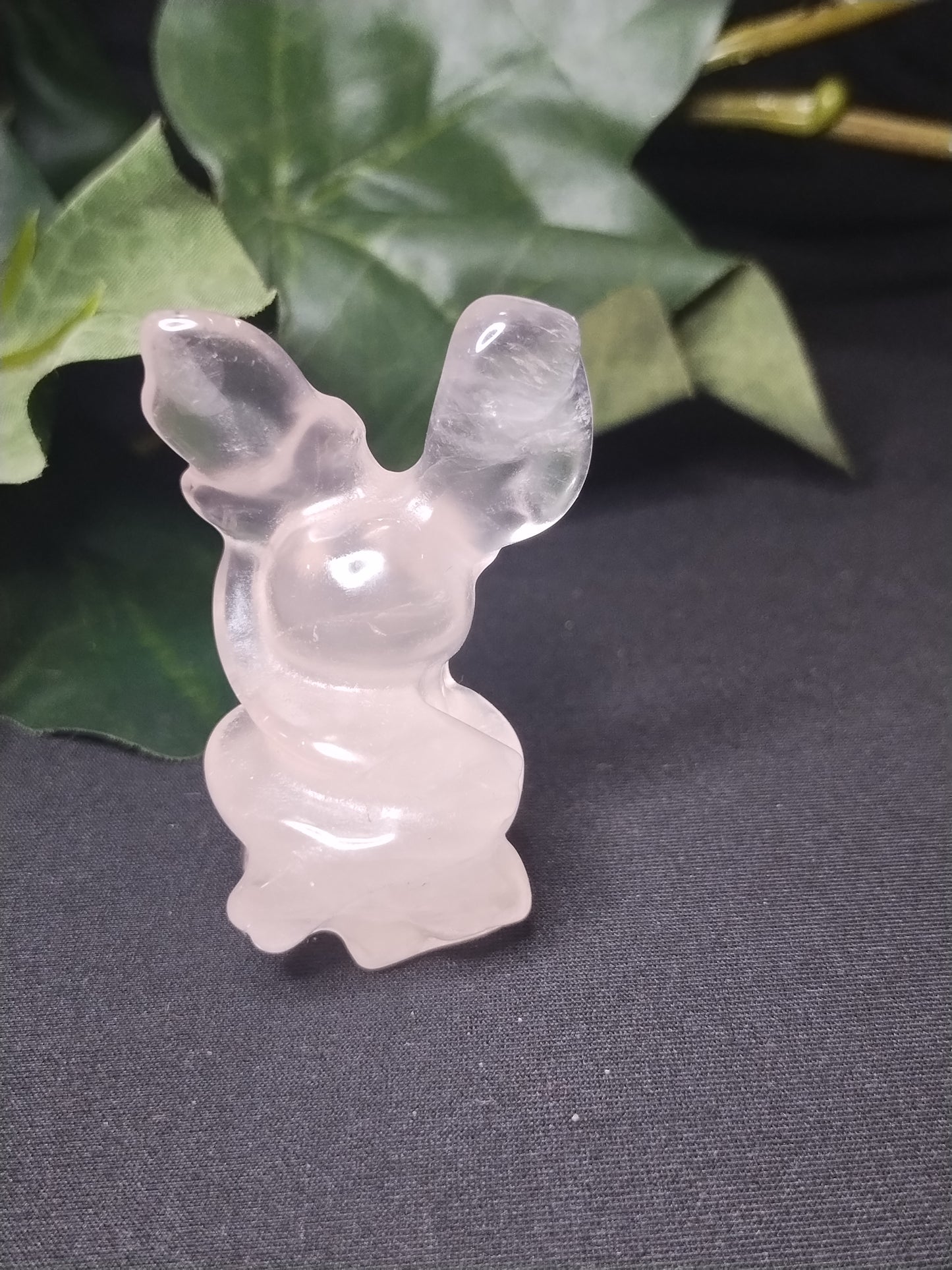 Eeveelution Set