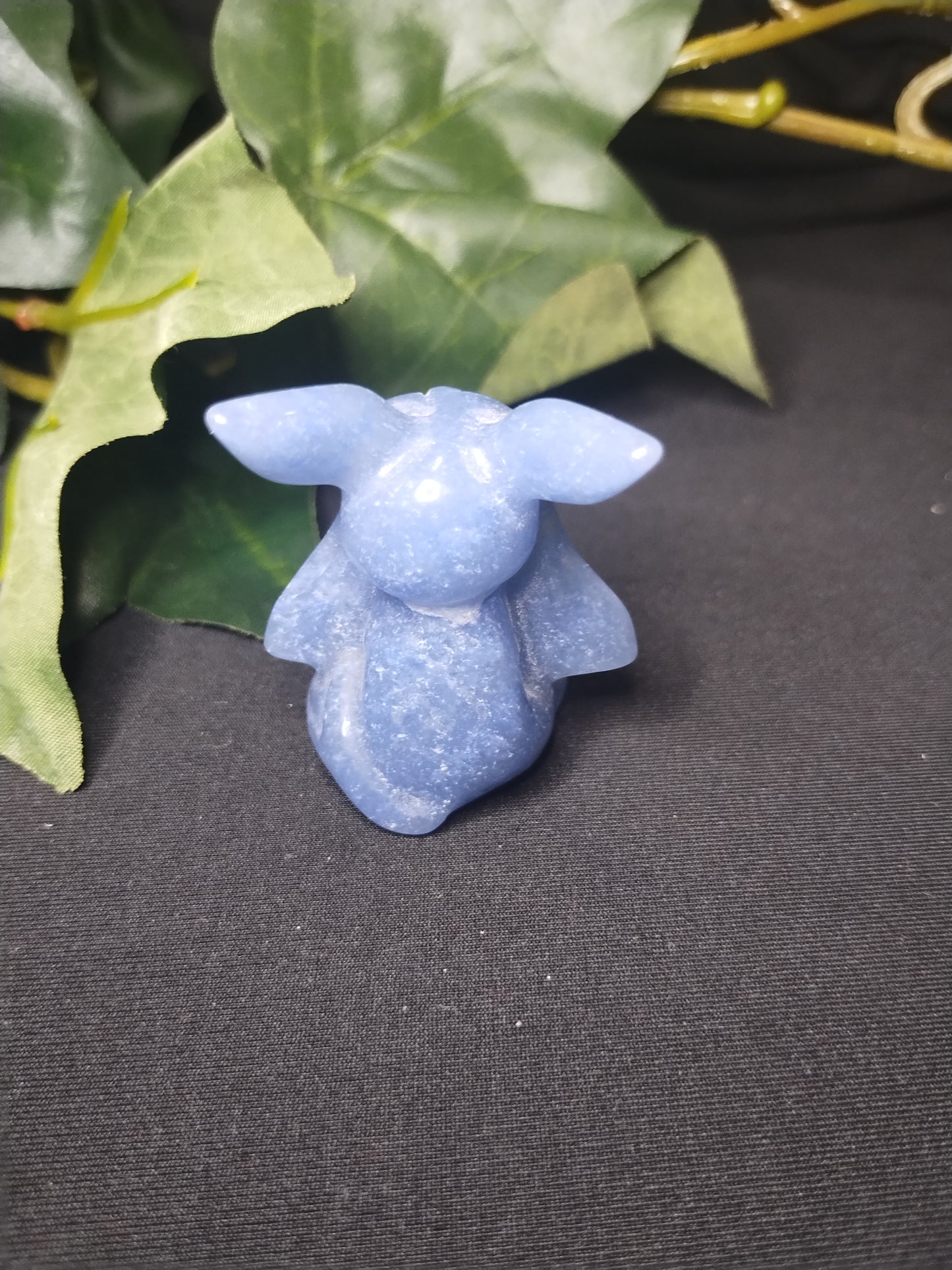 Eeveelution Set