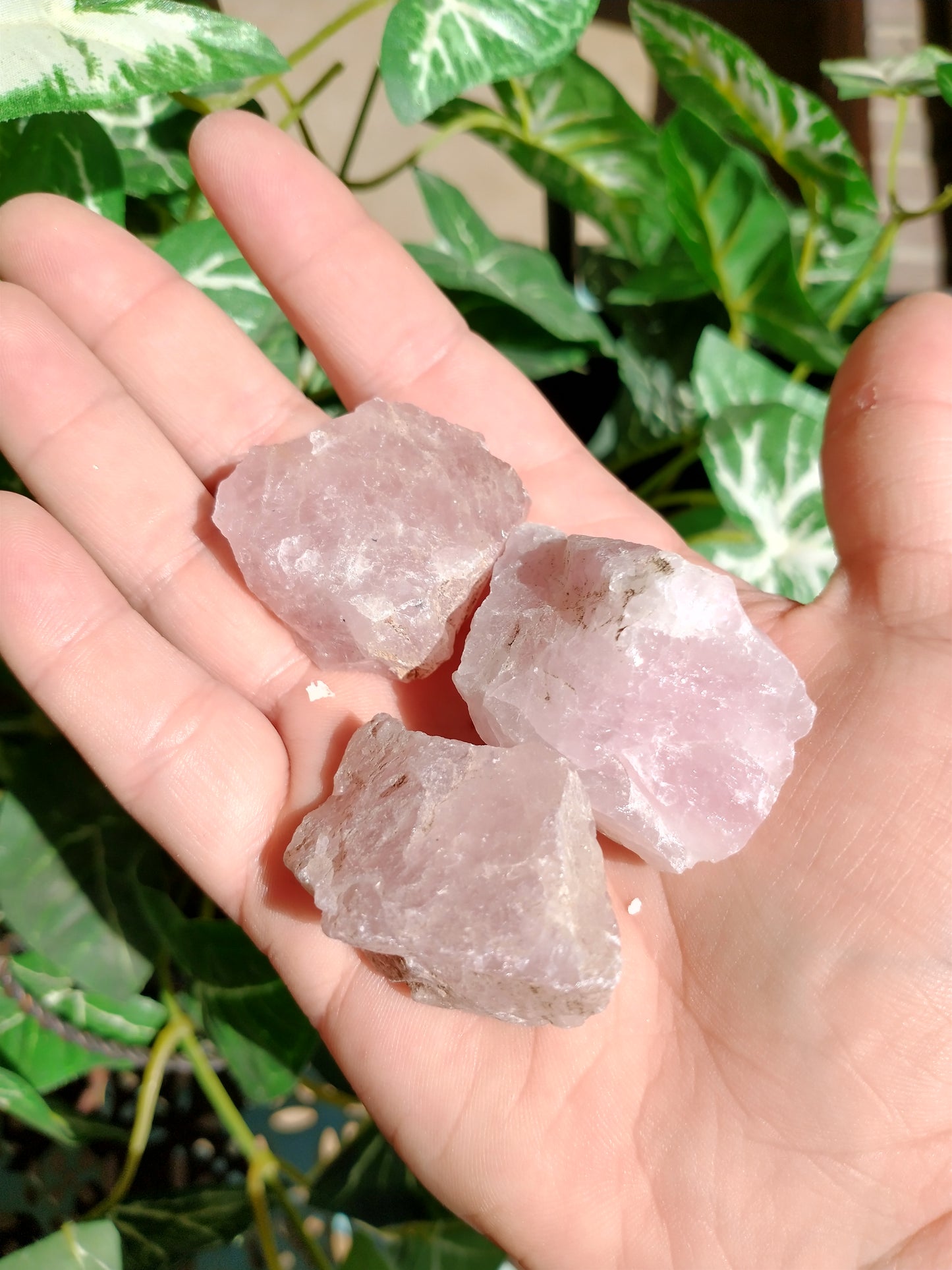 Raw Rose Quartz
