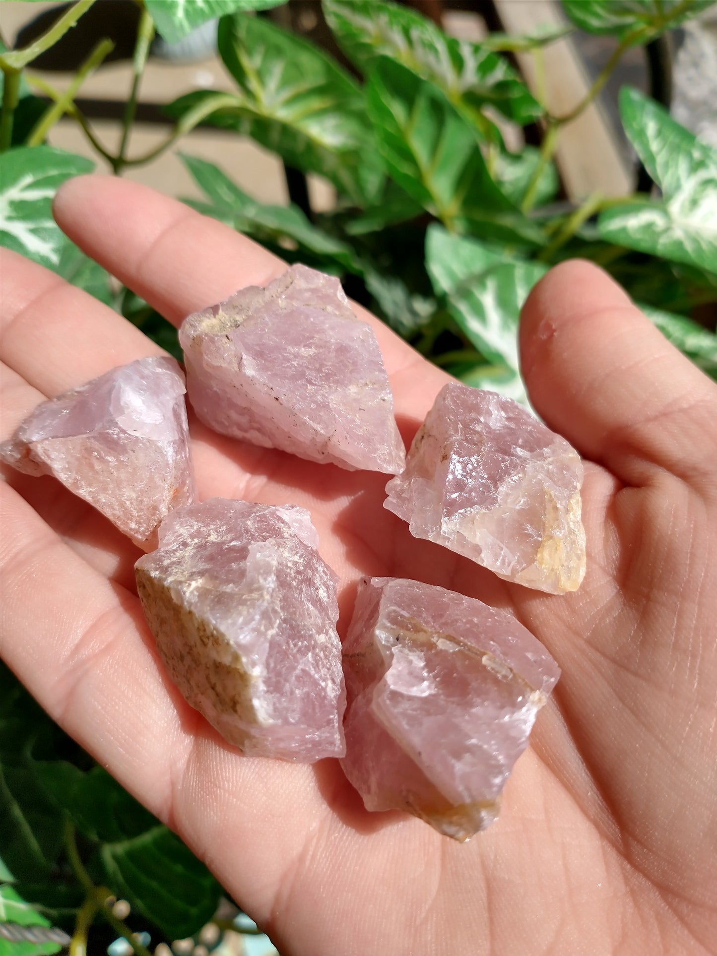 Raw Rose Quartz