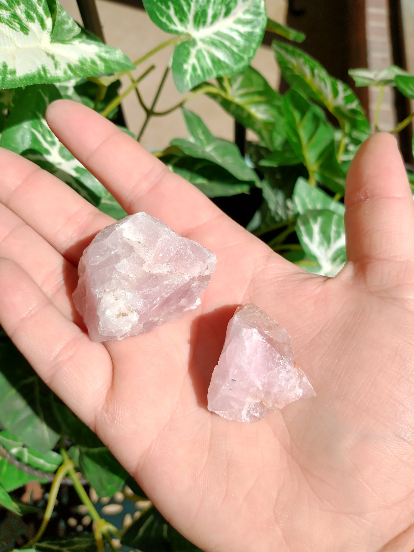 Raw Rose Quartz