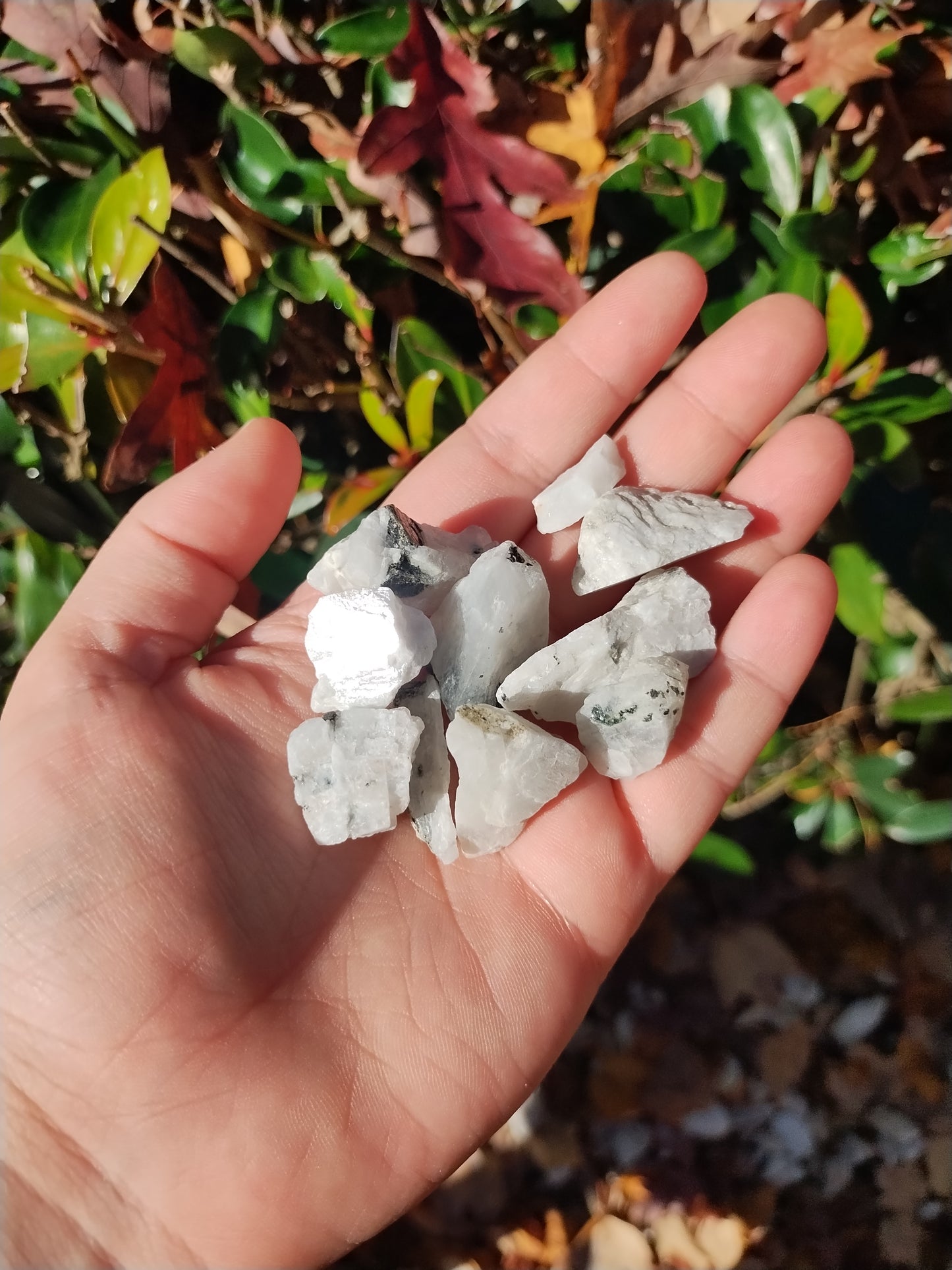 Raw Rainbow Moonstone