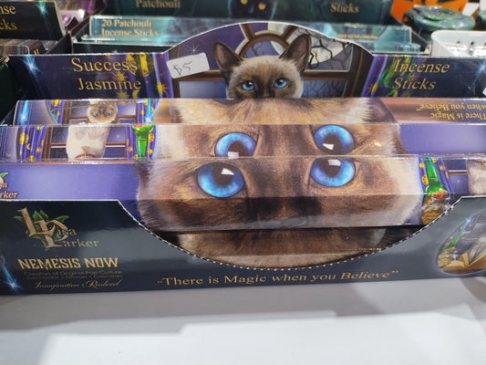 Jasmine Sucess Incense 20pk