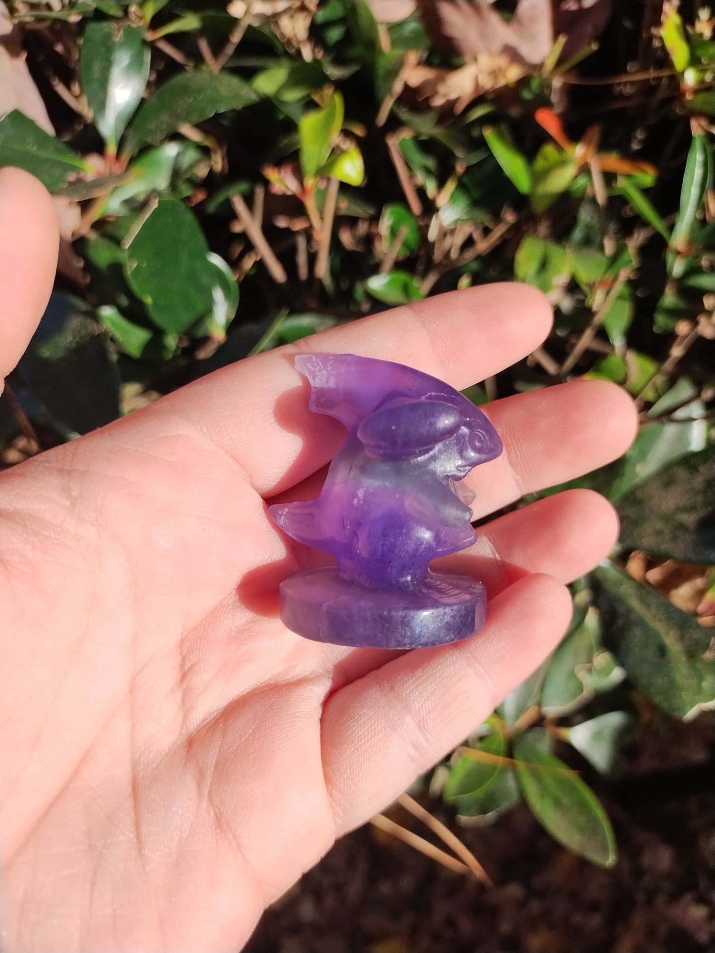 Fluorite Gible