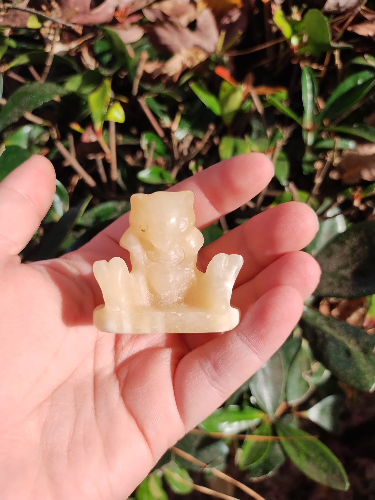 Yellow calcite Abra