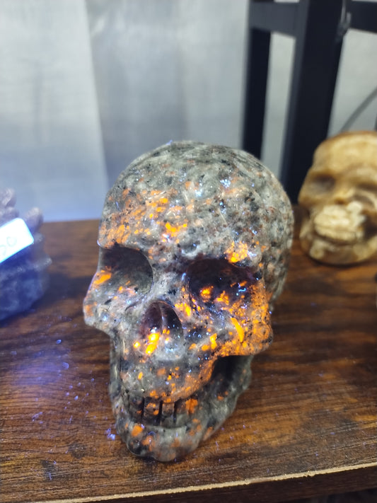 Yooperlite Skull