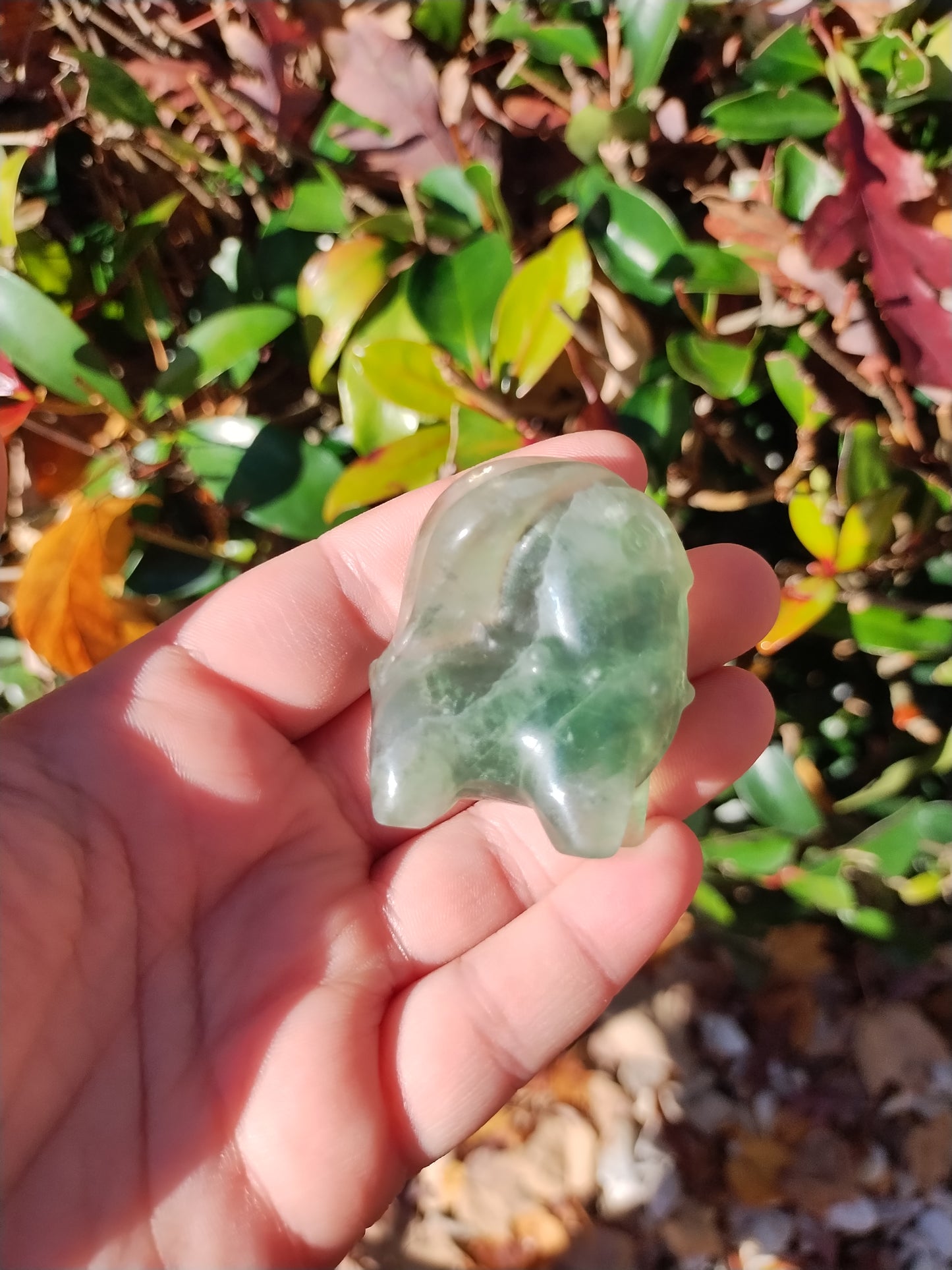 Fluorite Chikarita