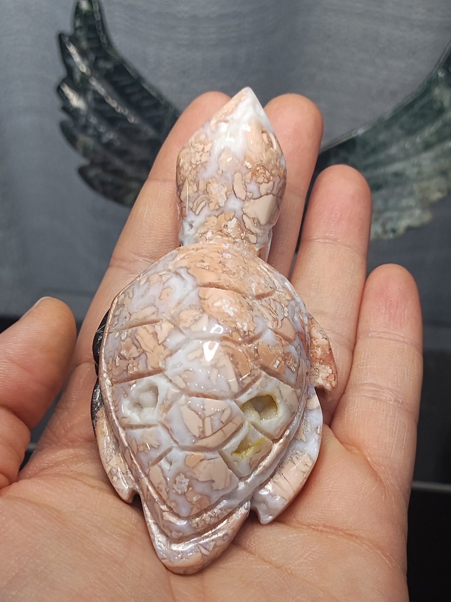 Pink Agate Turtle