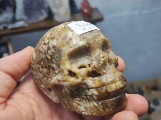 Chocolate Calcite Skull