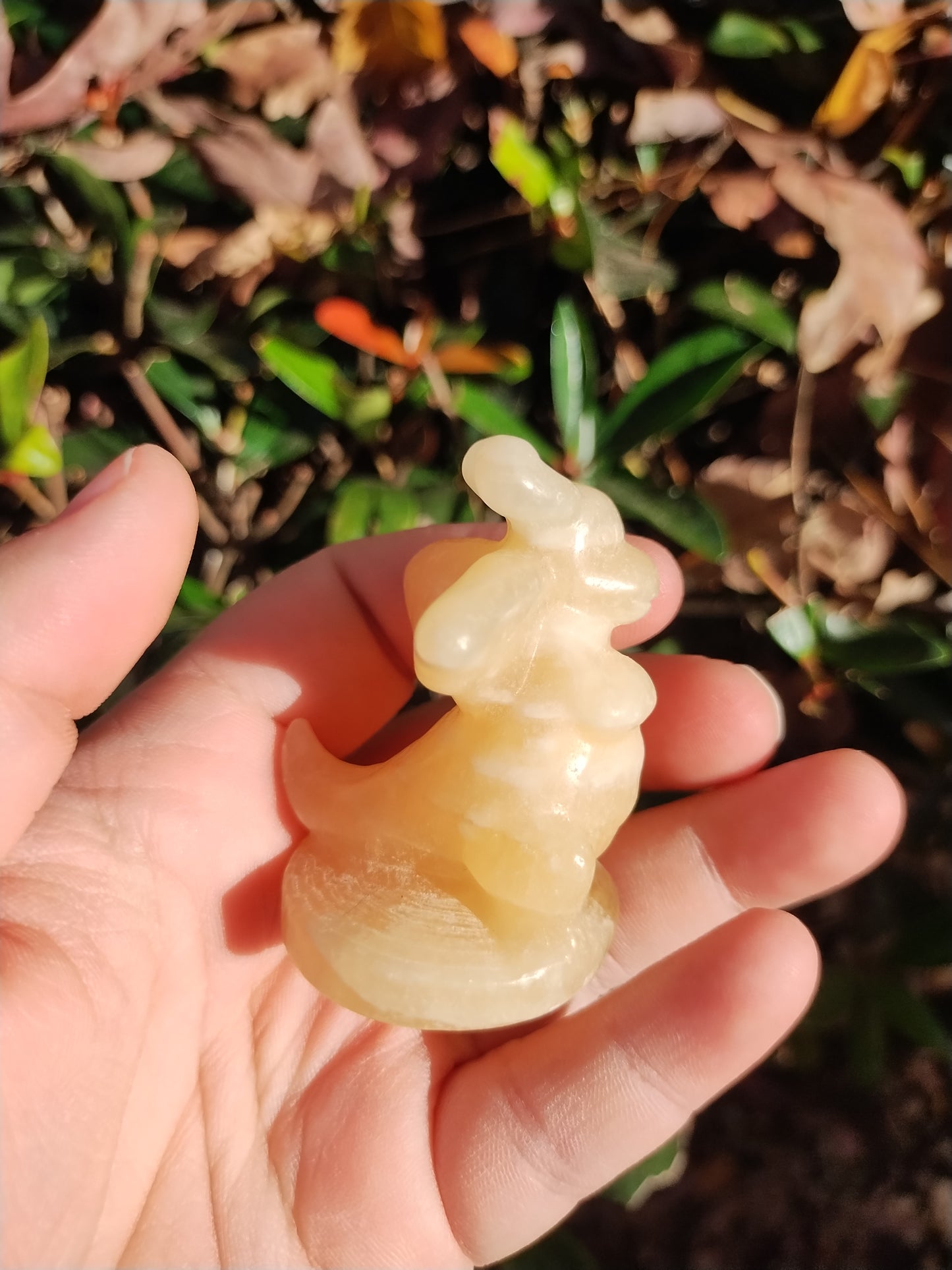 Yellow Calcite Dragonite