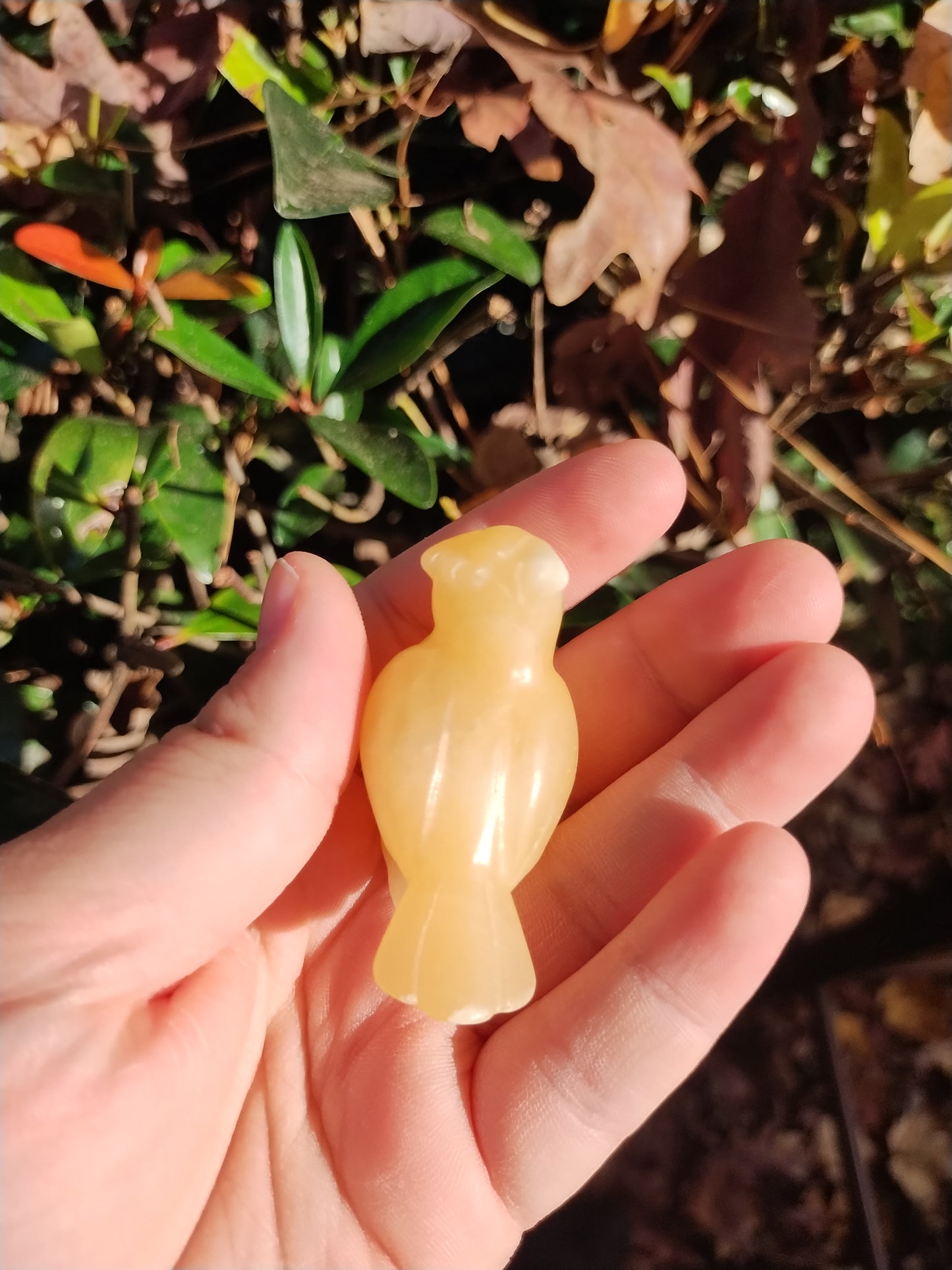 Yellow calcite Pidgey