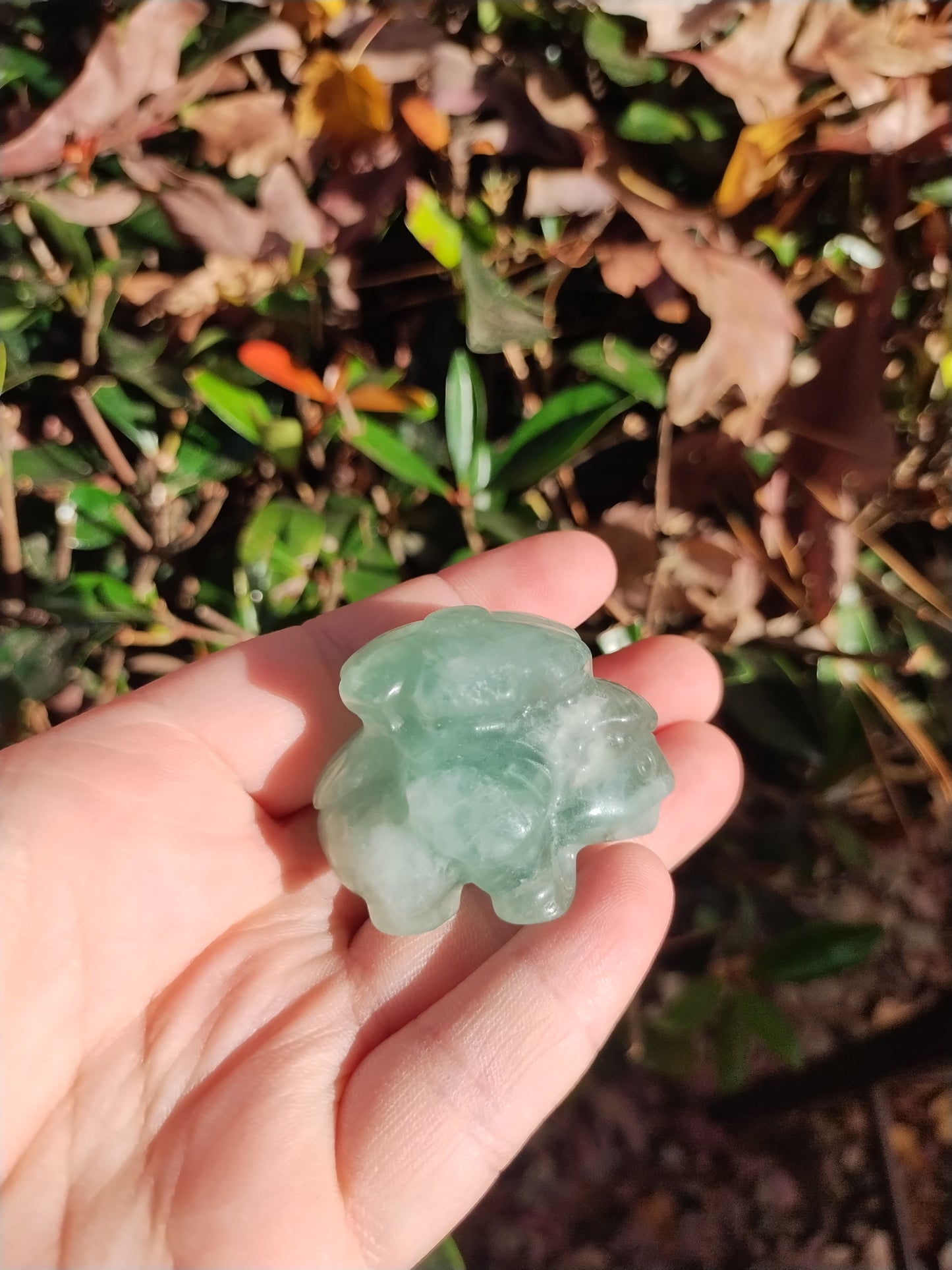 Fluorite Venusaur