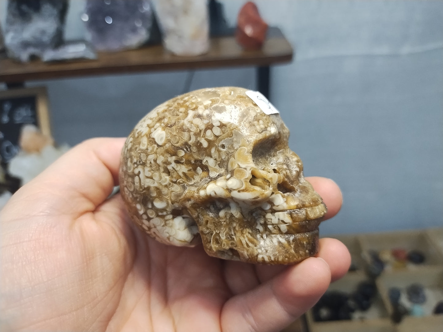 Chocolate Calcite Skull