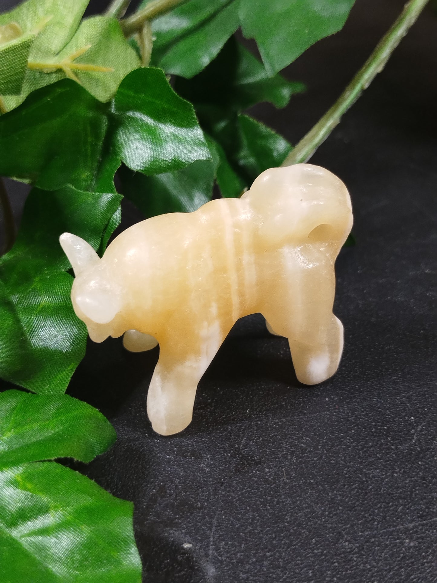 Yellow Calcite Tauros
