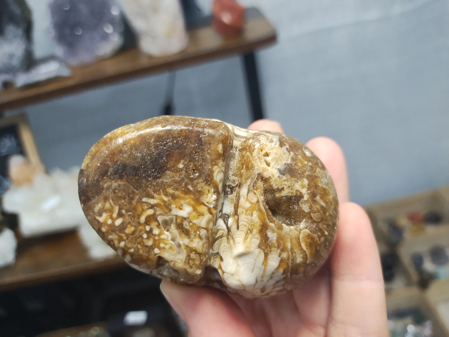 Chocolate Calcite Skull