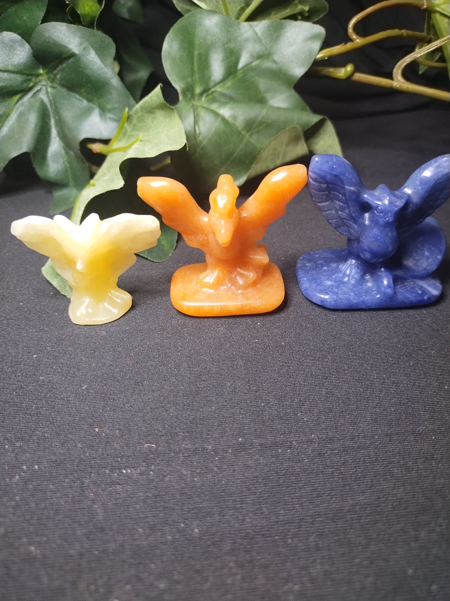 Legendary Birds!