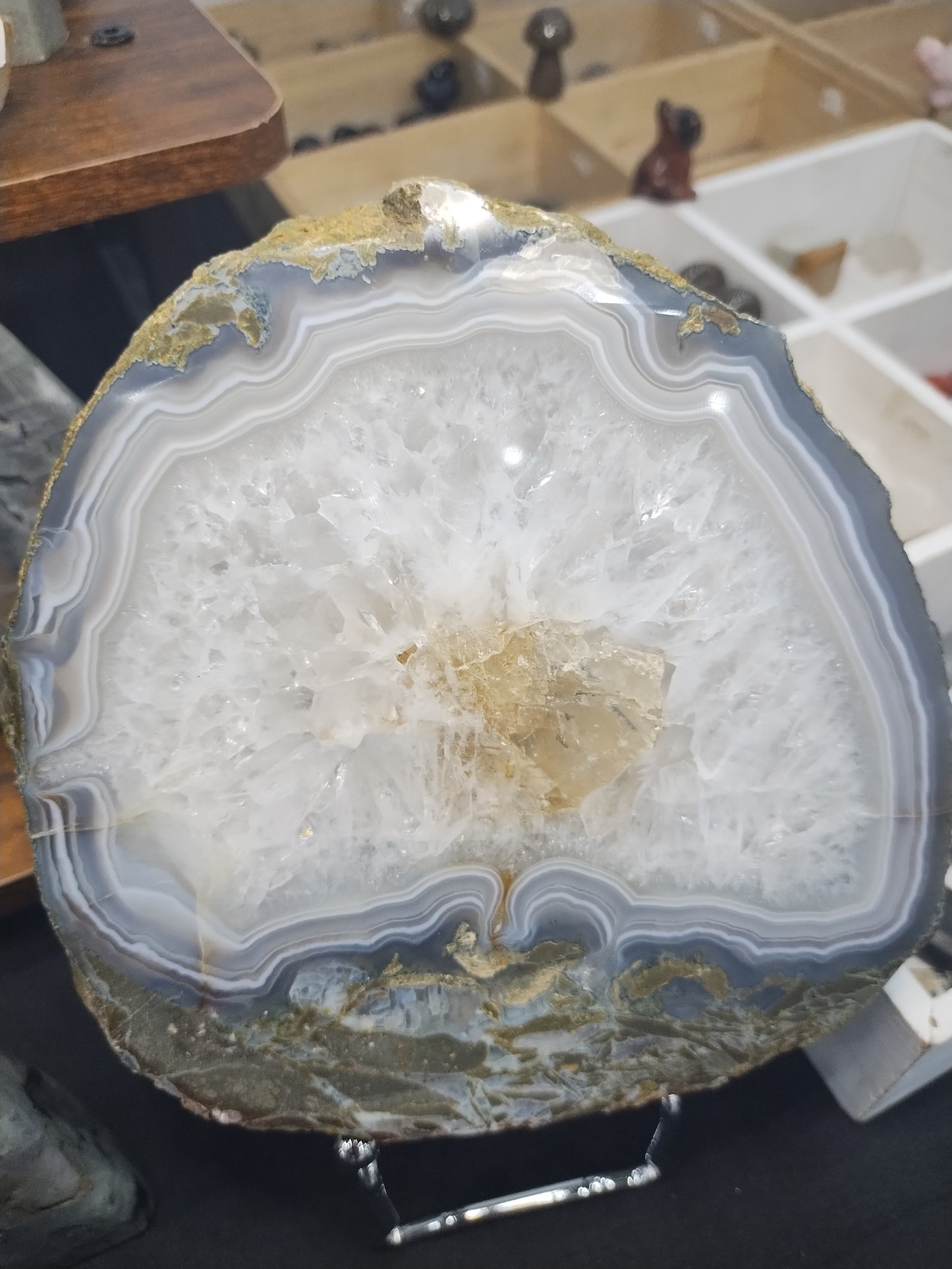 XL Agate Slab with Moss Agate Inclusions