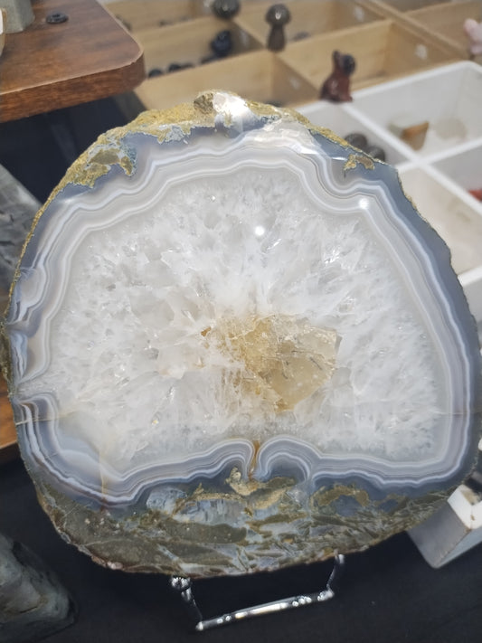 XL Agate Slab with Moss Agate Inclusions