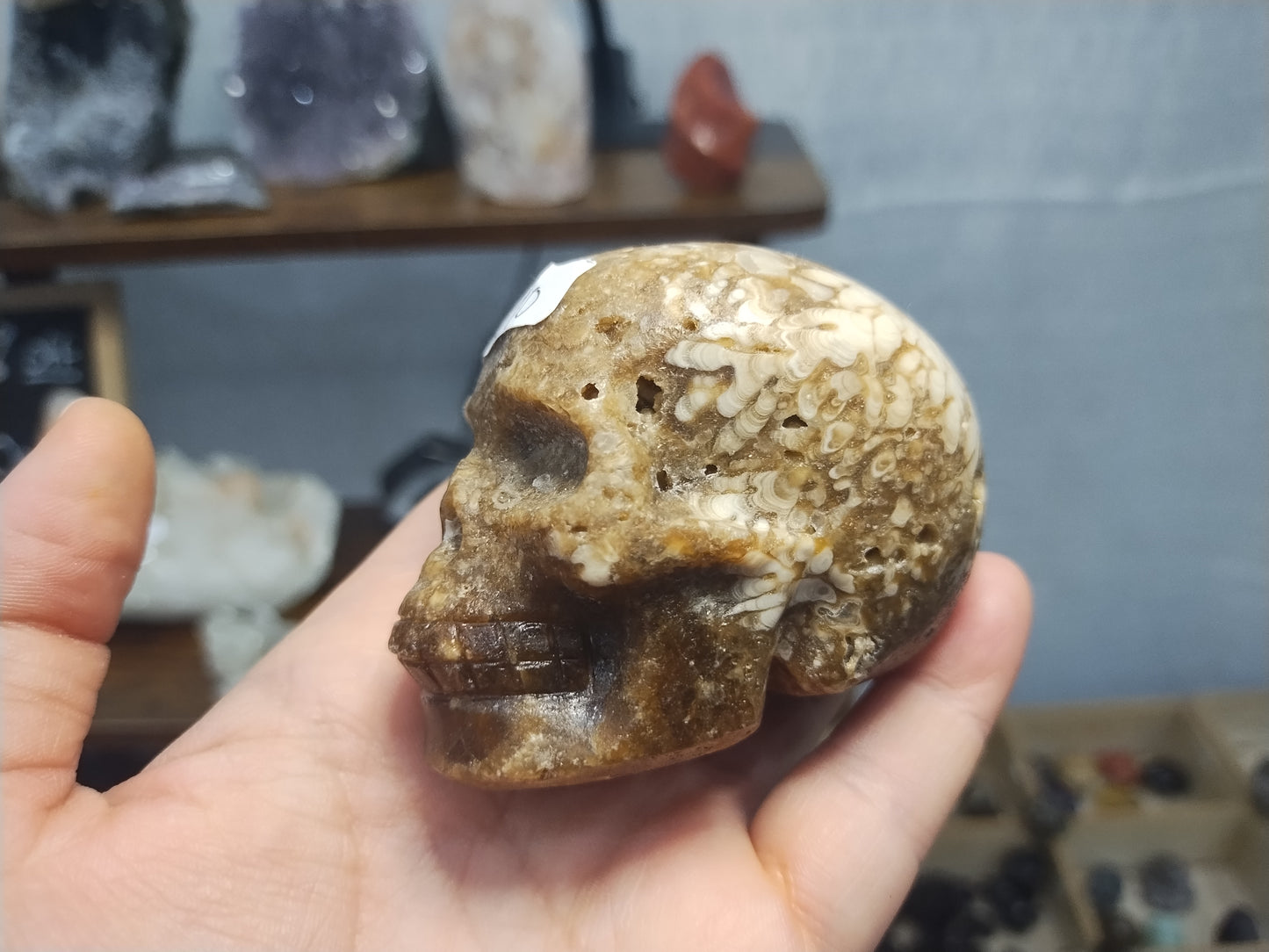 Chocolate Calcite Skull