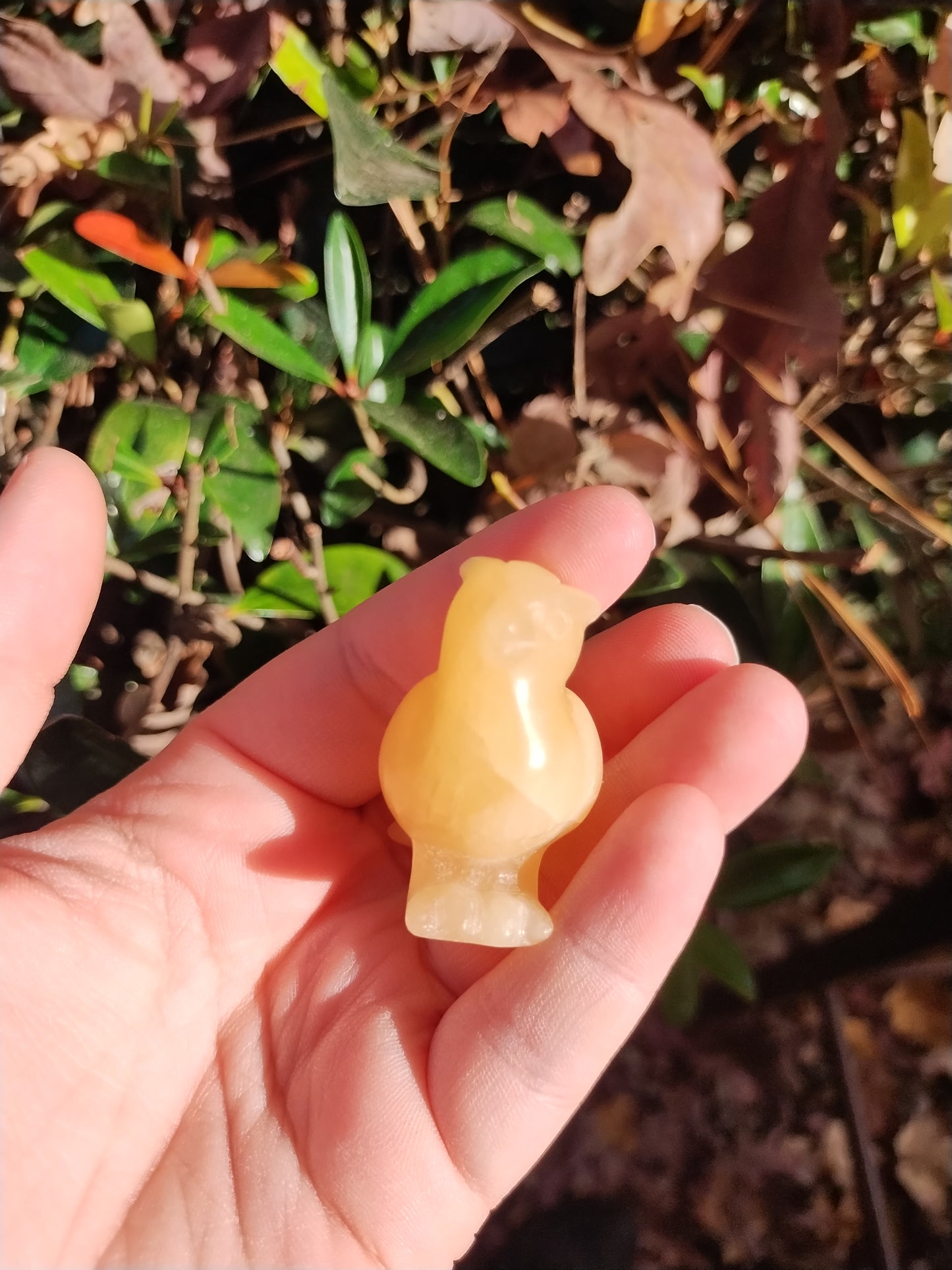 Yellow calcite Pidgey