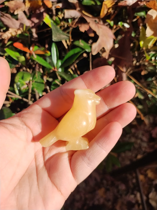 Yellow calcite Pidgey