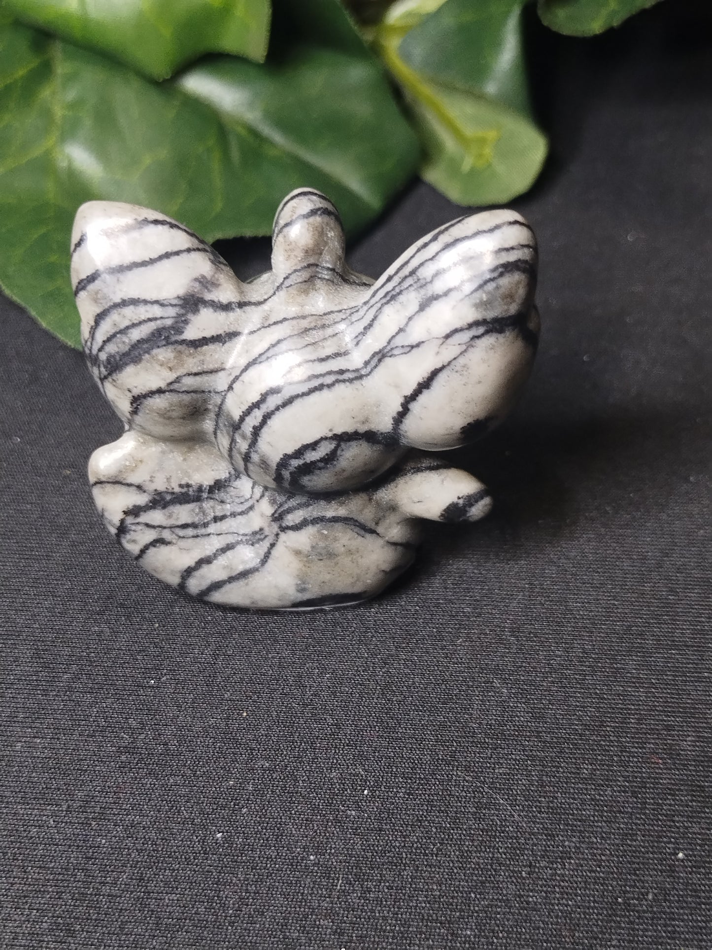 Taichi Jade Minccino