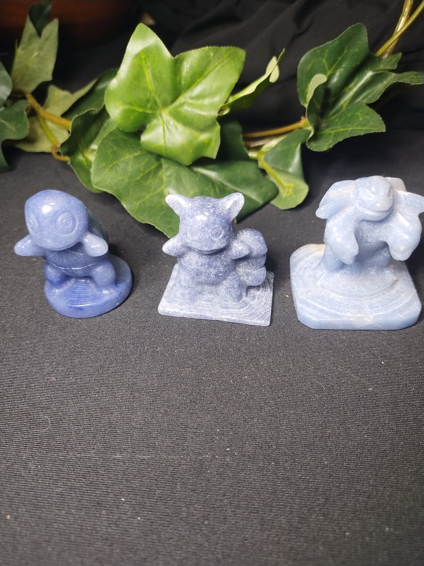 Squirtle Evolution set