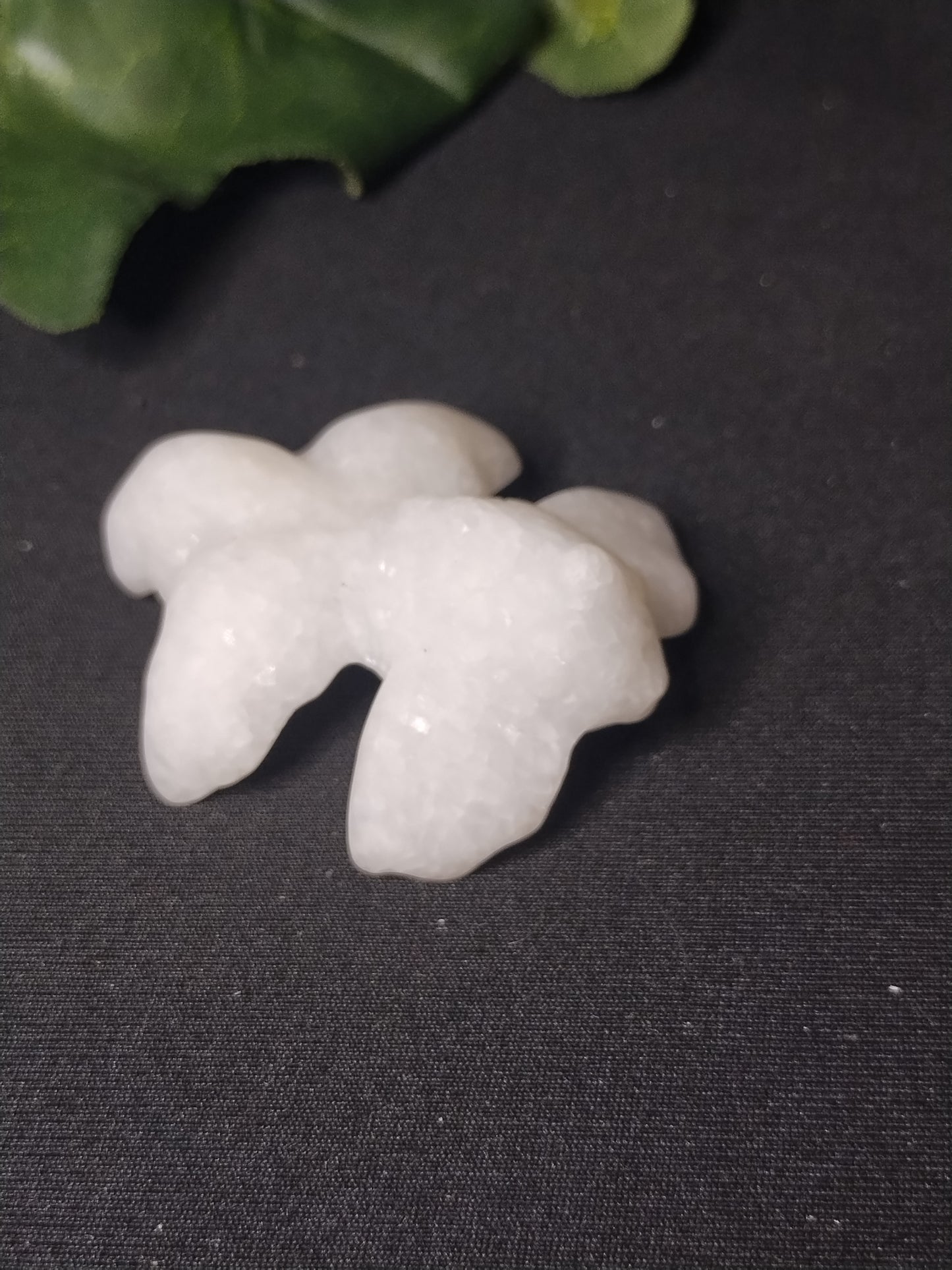 White Jade Goldeen