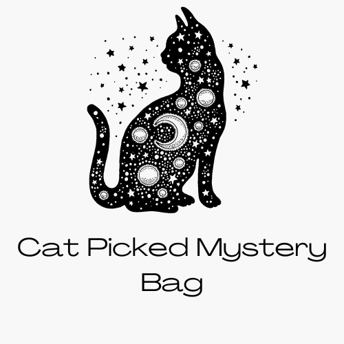 Cat picked Mystery Bag