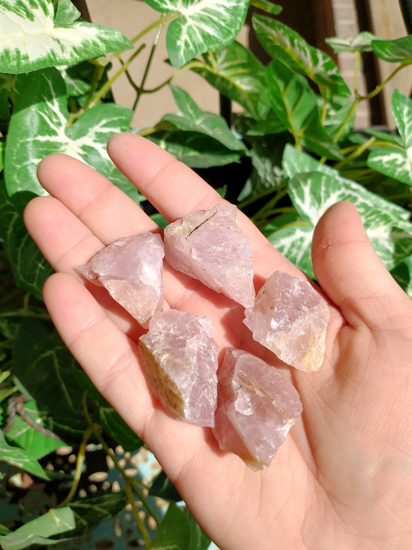 Raw Rose Quartz