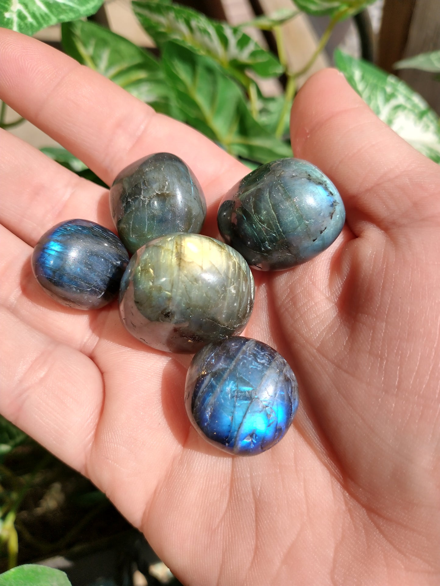 Labradorite Tumble
